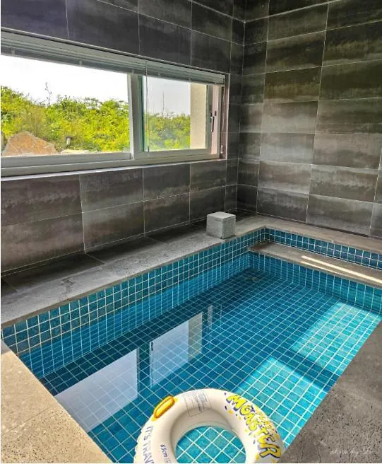 Jeju Island Ocean Wave Panpo Villa